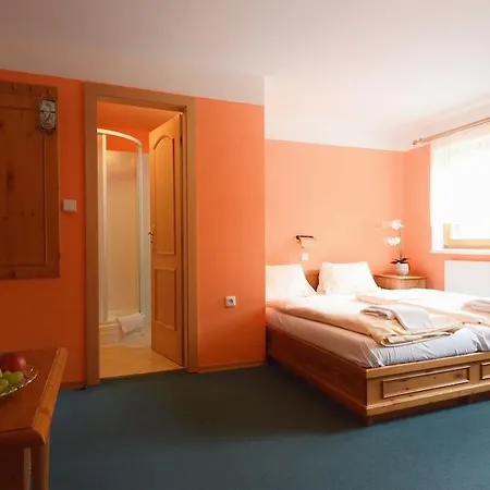 Apartmany Vysluni *