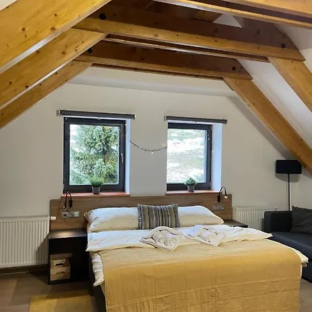 Apartmany Vysluni Apartment *