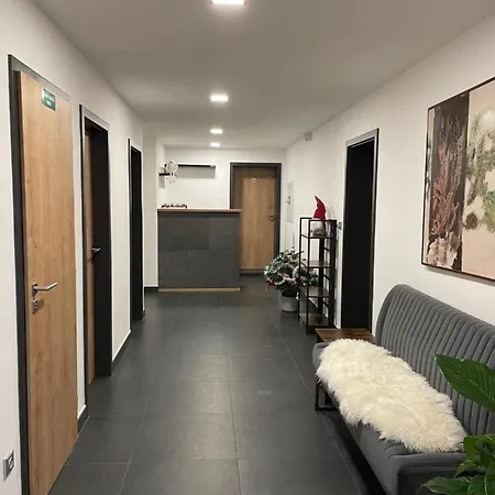Apartmany Vysluni *