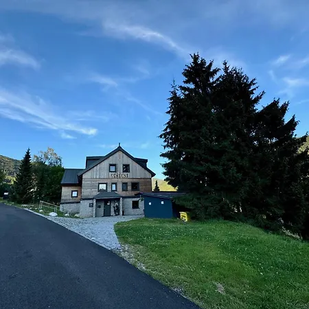 Apartament Vysluni *