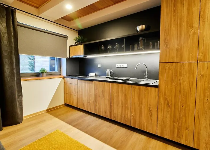 Apartament Vysluni *