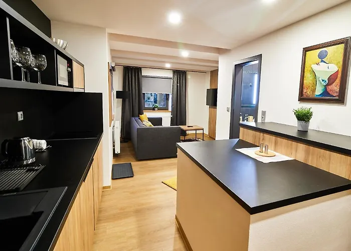 Vysluni Apartament Szpindlerowy Młyn