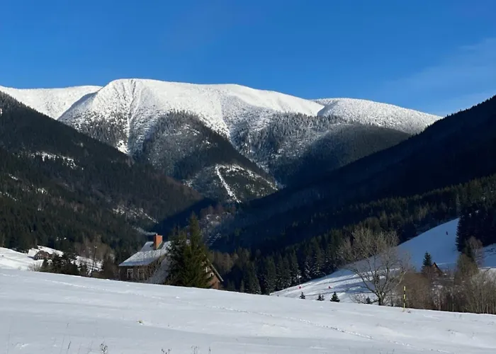 Vysluni Apartament Szpindlerowy Młyn