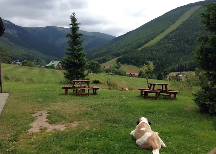 Apartament Vysluni Szpindlerowy Młyn